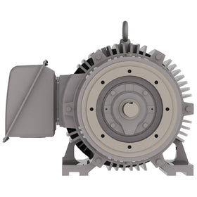 NP1002C Teco-Westinghouse 100HP Cast Iron Electric Motor, 3600 RPM
