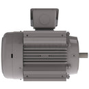 NP1002C Teco-Westinghouse 100HP Cast Iron Electric Motor, 3600 RPM-5