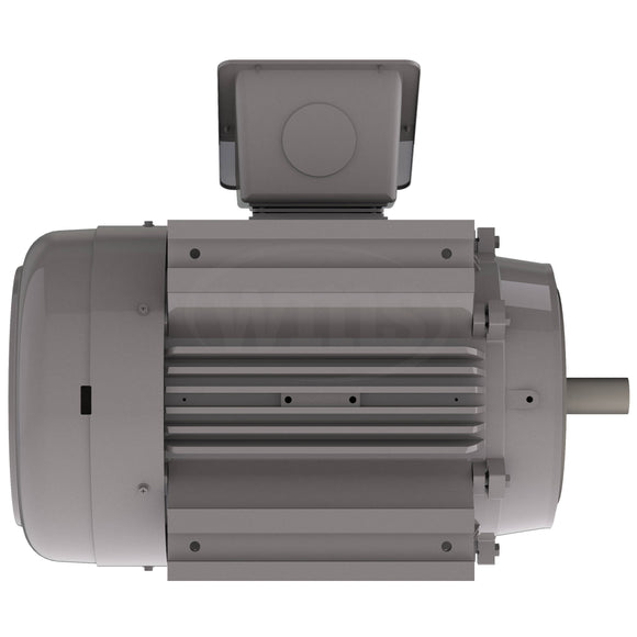 NP1002C Teco-Westinghouse 100HP Cast Iron Electric Motor, 3600 RPM