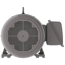 NP1002C Teco-Westinghouse 100HP Cast Iron Electric Motor, 3600 RPM-3