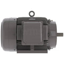 NP1002C Teco-Westinghouse 100HP Cast Iron Electric Motor, 3600 RPM-6