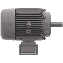 NP1004C Teco-Westinghouse 100HP Cast Iron Electric Motor, 1800 RPM-4