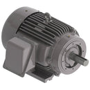NP1004C Teco-Westinghouse 100HP Cast Iron Electric Motor, 1800 RPM-6