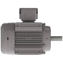 NP1004C Teco-Westinghouse 100HP Cast Iron Electric Motor, 1800 RPM-5