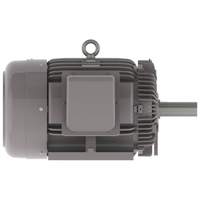 NP1004R Teco-Westinghouse 100HP Cast Iron Electric Motor, 1800 RPM