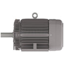 NP1004R Teco-Westinghouse 100HP Cast Iron Electric Motor, 1800 RPM-7