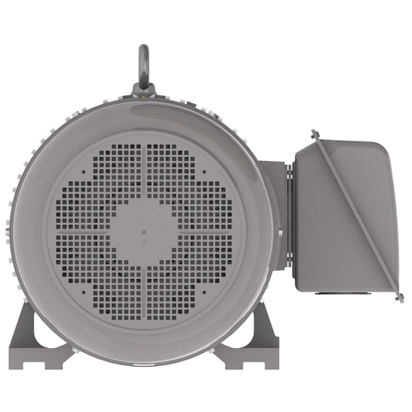 NP1004 Teco-Westinghouse 100HP Cast Iron Electric Motor, 1800 RPM