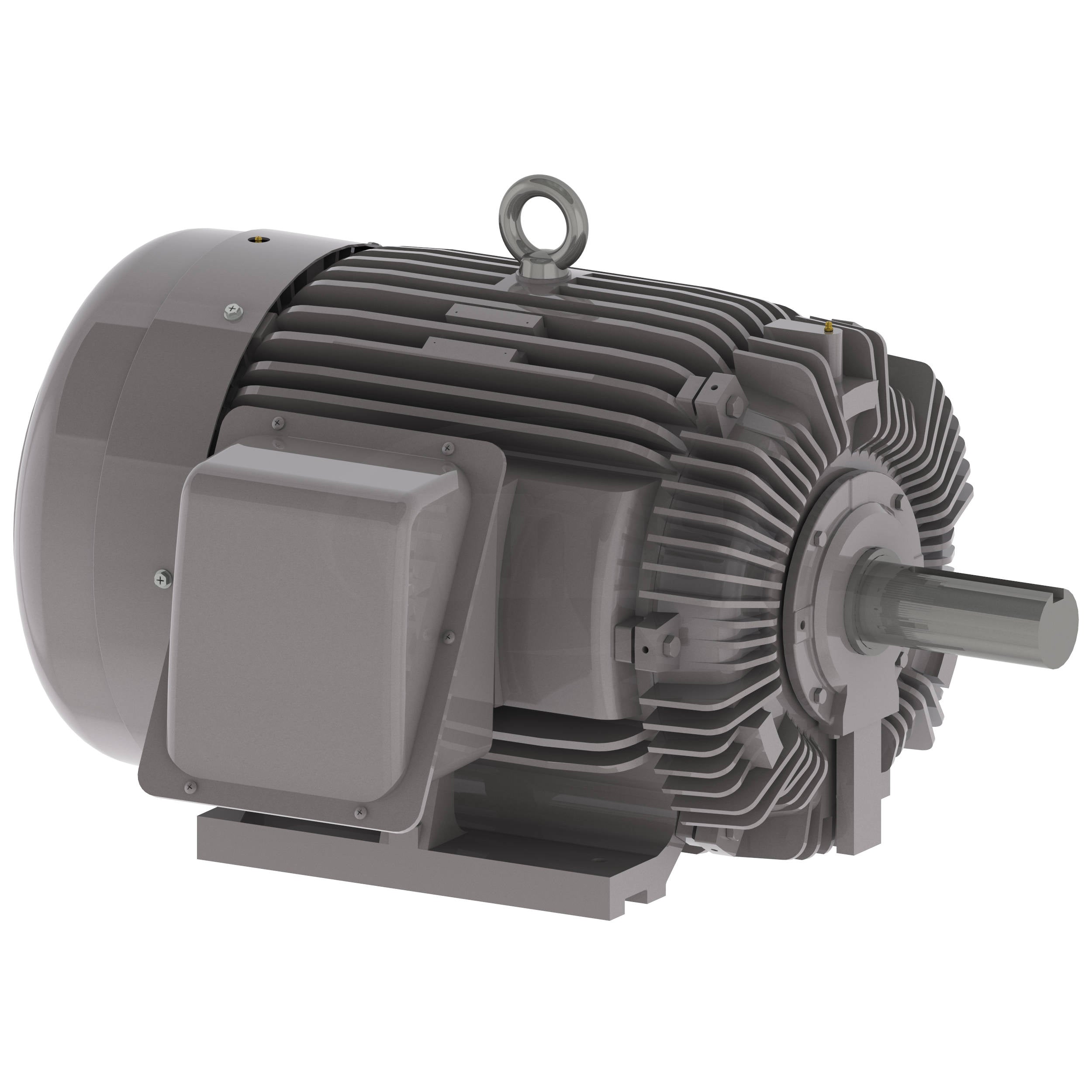 NP1004 Teco-Westinghouse 100HP Cast Iron Electric Motor, 1800 RPM - 0