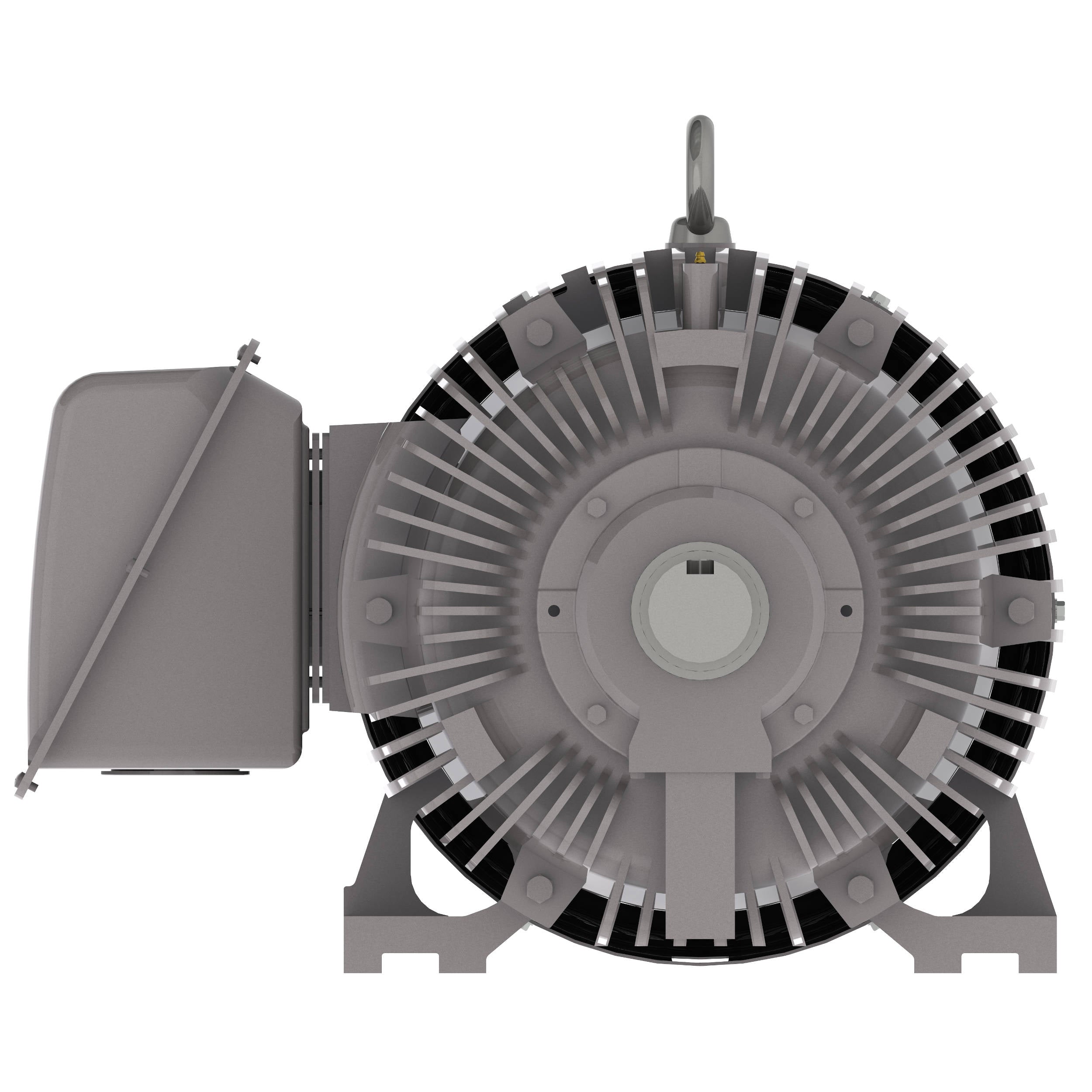 NP1004 Teco-Westinghouse 100HP Cast Iron Electric Motor, 1800 RPM