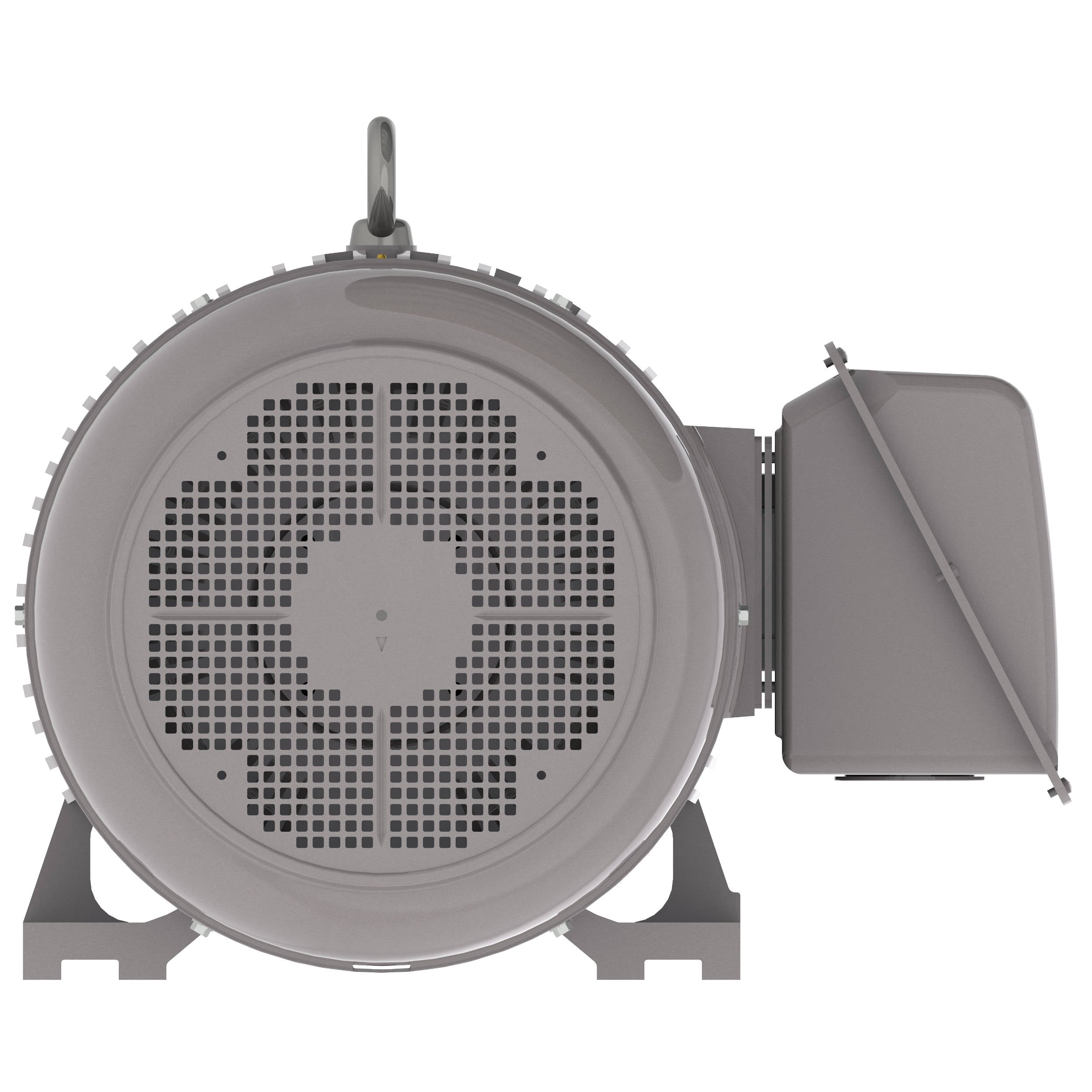 NP1004 Teco-Westinghouse 100HP Cast Iron Electric Motor, 1800 RPM