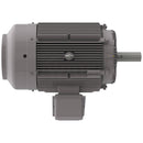 NP2004R Teco-Westinghouse 200HP Cast Iron Electric Motor, 1800 RPM-5