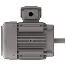 NP7/52C Teco-Westinghouse 7.5HP Cast Iron Electric Motor, 3600 RPM-6