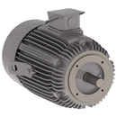 NPV0106C Teco-Westinghouse 10HP MAX-PE Cast Iron Electric Motor, 1200RPM-2