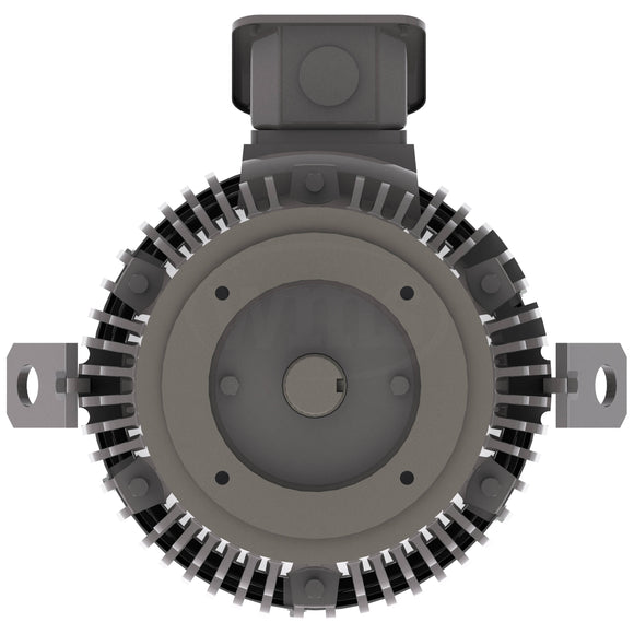 NPV0154C Teco-Westinghouse 15HP MAX-PE Cast Iron Electric Motor, 1800RPM