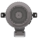 NPV0202C Teco-Westinghouse 20HP MAX-PE Cast Iron Electric Motor, 3600RPM-1