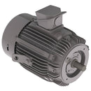 NPV0252C Teco-Westinghouse 25HP MAX-PE Cast Iron Electric Motor, 3600RPM-8