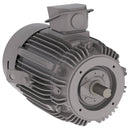 NPV0252C Teco-Westinghouse 25HP MAX-PE Cast Iron Electric Motor, 3600RPM-7