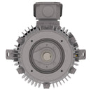 NPV0252C Teco-Westinghouse 25HP MAX-PE Cast Iron Electric Motor, 3600RPM-6