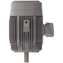 NPV0254C Teco-Westinghouse 25HP MAX-PE Cast Iron Electric Motor, 1800RPM-2