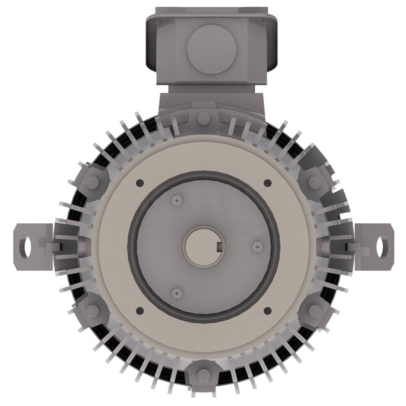 NPV0304C Teco-Westinghouse 30HP MAX-PE Cast Iron Electric Motor, 1800RPM