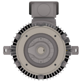 NPV0306C Teco-Westinghouse 30HP MAX-PE Cast Iron Electric Motor, 1200RPM