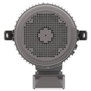 NPV0306C Teco-Westinghouse 30HP MAX-PE Cast Iron Electric Motor, 1200RPM-6