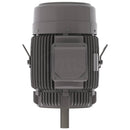 NPV0402C Teco-Westinghouse 40HP MAX-PE Cast Iron Electric Motor, 3600RPM-1