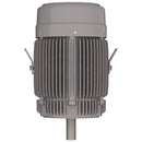 NPV0402C Teco-Westinghouse 40HP MAX-PE Cast Iron Electric Motor, 3600RPM-3