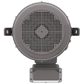 NPV0406C Teco-Westinghouse 40HP MAX-PE Cast Iron Electric Motor, 1200RPM