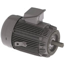 NPV0506C Teco-Westinghouse 50HP MAX-PE Cast Iron Electric Motor, 1200RPM-5