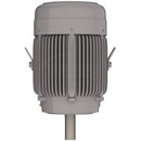 NPV0606C Teco-Westinghouse 60HP MAX-PE Cast Iron Electric Motor, 1200RPM-2