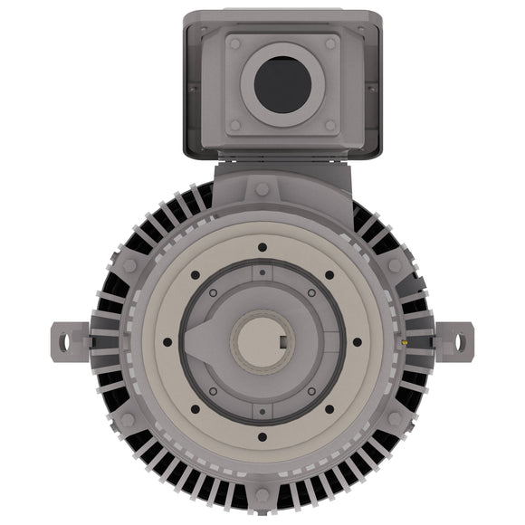 NPV1004C Teco-Westinghouse 100HP MAX-PE Cast Iron Electric Motor, 1800RPM