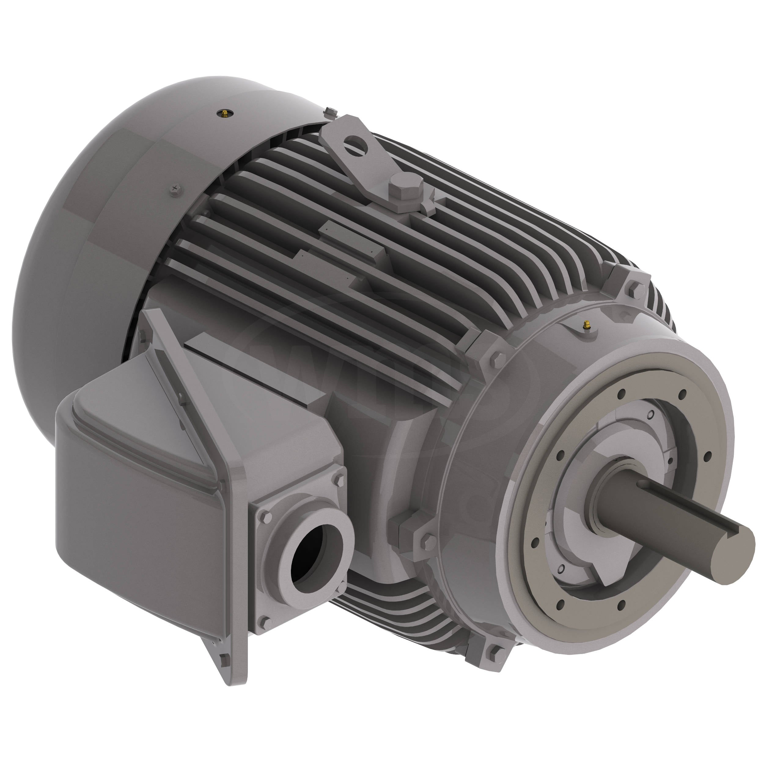 NPV1004C Teco-Westinghouse 100HP MAX-PE Cast Iron Electric Motor, 1800RPM