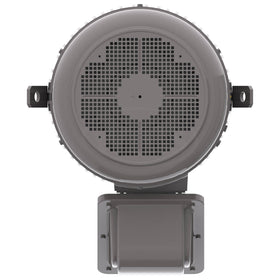 NPV1004C Teco-Westinghouse 100HP MAX-PE Cast Iron Electric Motor, 1800RPM