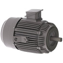 NPV7/56C Teco-Westinghouse 7.5HP MAX-PE Cast Iron Electric Motor, 1200RPM-6