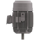NPV7/56C Teco-Westinghouse 7.5HP MAX-PE Cast Iron Electric Motor, 1200RPM-1