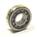 NU-203-ECP SKF Bearing-2