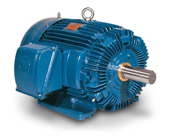 HB1002 100 HP Teco-Westinghouse IEEE 841 Severe Duty | Witmer Motor Service