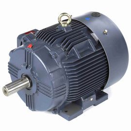 GT1028A Marathon 25HP Globetrotter Electric Motor, 1800RPM