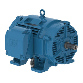 10018OT3E404T-W40 WEG 100HP, General Purpose Electric Motor, 1800RPM