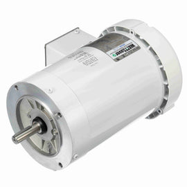 119468.00 Leeson Washguard Motor, 1 HP, 1800 RPM