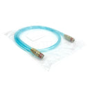 PP0436S Coilhose Pigtail Assy 1/4x36' 1/4 MPT-2