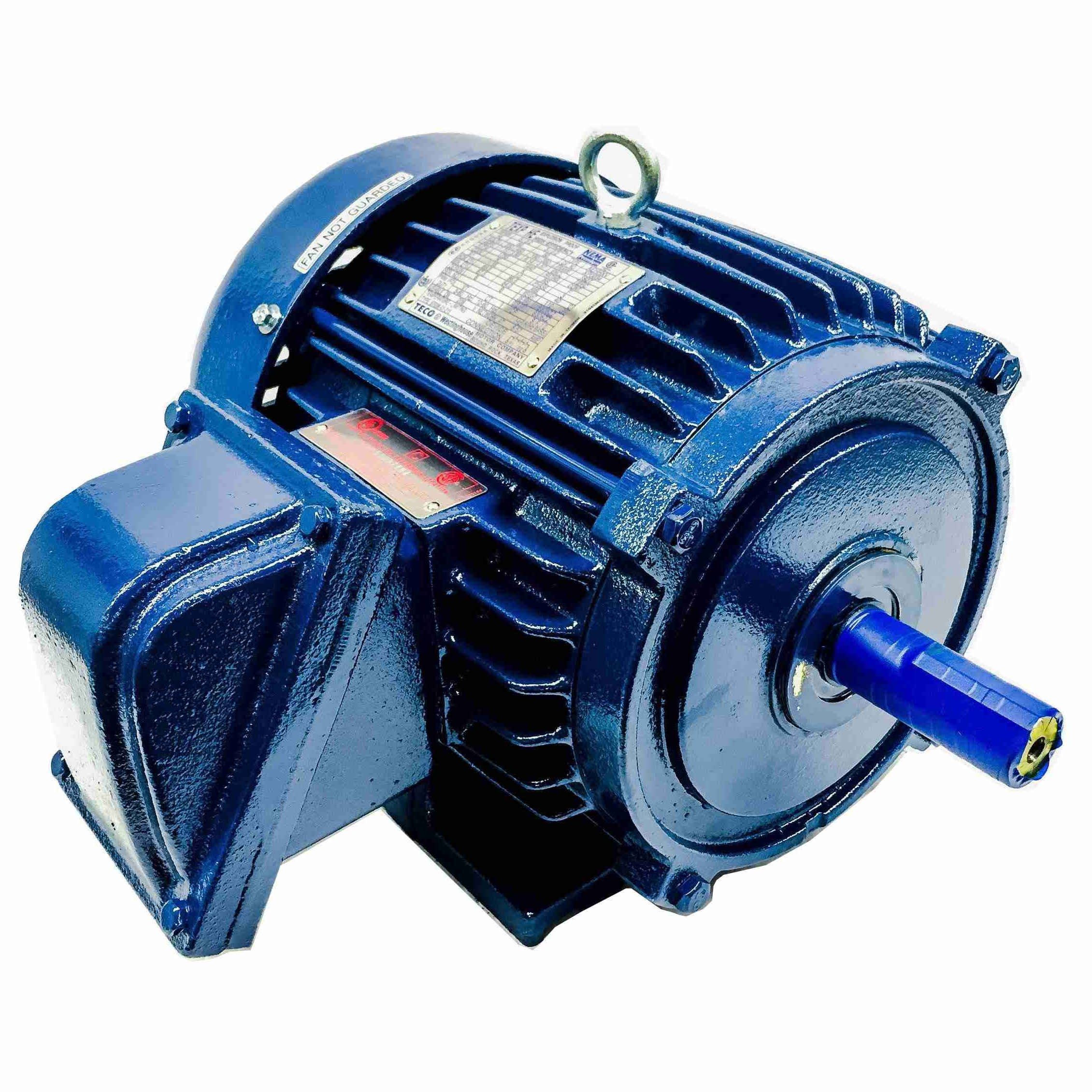 XP1254 Teco-Westinghouse 125HP Explosion Proof Electric Motor, 1800 RP ...