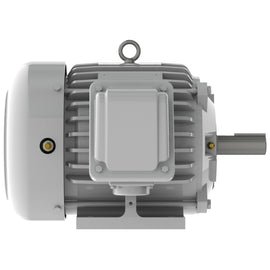 EP0032 Teco-Westinghouse 3HP Cast Iron Electric Motor, 3600 RPM
