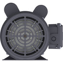 RD1-RS-TF-56H-4-B-C-1 Techtop 1HP Farm Duty Electric Motor, 1750RPM-3