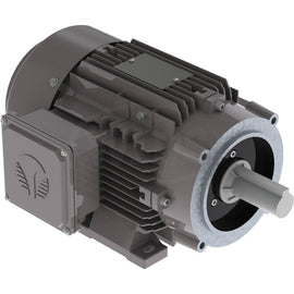 GX3-AL-TF-145TC-2-B-D-2 Techtop 2HP Electric Motor, 3600RPM