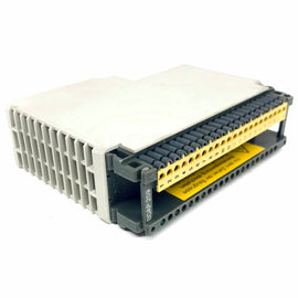 AS-BDAP-209 Modicon Output Module, 115VAC