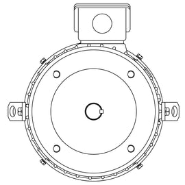 NPV0032C Teco-Westinghouse 3HP MAX-PE Cast Iron Electric Motor, 3600RPM