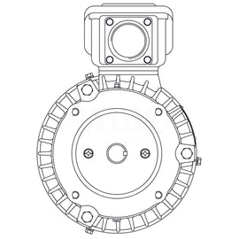HBV0016C Teco-Westinghouse 1HP MAX-E2/841 Cast Iron Electric Motor, 1200RPM