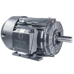 SD3-215T-6-BR-E-5 Techtop 5HP IEEE 841 Severe Duty Electric Motor, 1200RPM